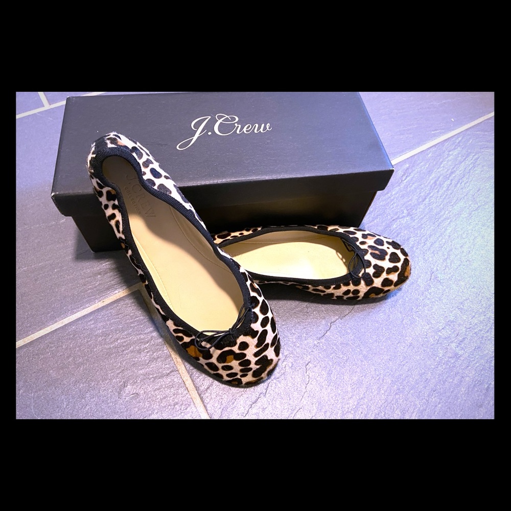 J Crew Ballet Shoe